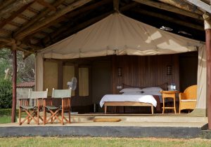 ashnil-aruba-lodge-1
