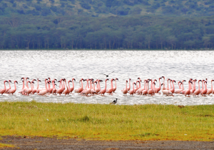 kenia-tresors-3