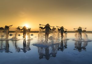 salt-harvesting-3060093_1920