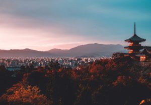 su-san-lee-E_eWwM29wfU-unsplash