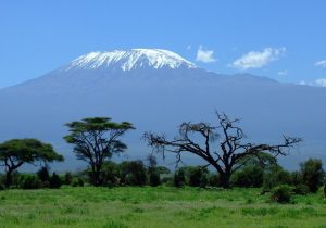 tresors-kenya-1